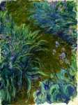 Claude-Oscar Monet - Irises